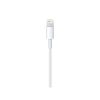 APPLE Lightning to USB cable (1 m)